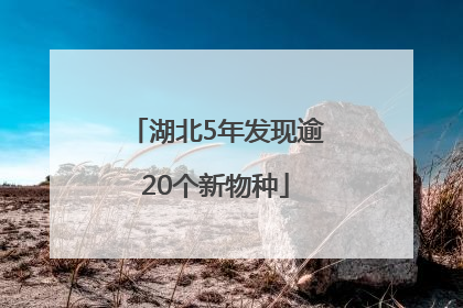 湖北5年发现逾20个新物种
