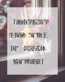 湘南学院留学生探秘“矿物王国” 沉浸式体验矿博盛宴