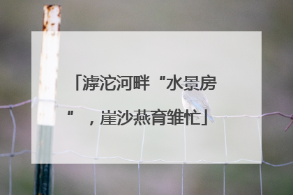 滹沱河畔“水景房”，崖沙燕育雏忙