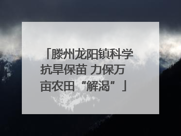 滕州龙阳镇科学抗旱保苗 力保万亩农田“解渴”