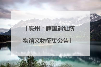 滕州：薛国遗址博物馆文物征集公告