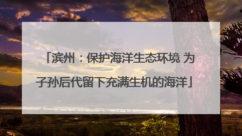 滨州：保护海洋生态环境 为子孙后代留下充满生机的海洋