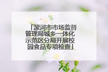 漯河市市场监督管理局城乡一体化示范区分局开展校园食品专项检查