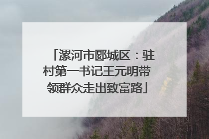 漯河市郾城区：驻村第一书记王元明带领群众走出致富路