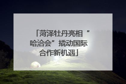 菏泽牡丹亮相“哈洽会”撬动国际合作新机遇