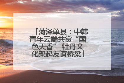 菏泽单县：中韩青年云端共赏“国色天香” 牡丹文化架起友谊桥梁