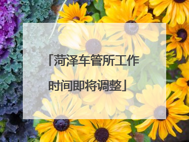 菏泽车管所工作时间即将调整