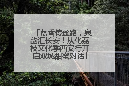 荔香传丝路，泉韵汇长安！从化荔枝文化季西安行开启双城甜蜜对话