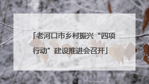 老河口市乡村振兴“四项行动”建设推进会召开