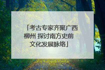 考古专家齐聚广西柳州 探讨南方史前文化发展脉络