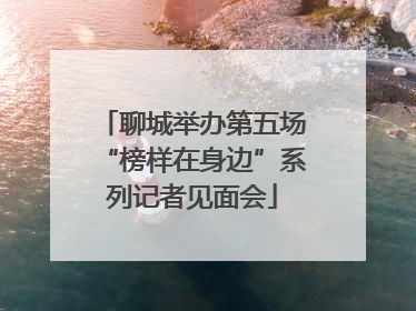 聊城举办第五场“榜样在身边”系列记者见面会