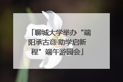 聊城大学举办“端阳承古意·助学启新程”端午游园会