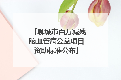 聊城市百万减残脑血管病公益项目资助标准公布