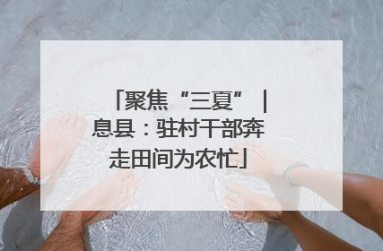 聚焦“三夏”｜息县：驻村干部奔走田间为农忙
