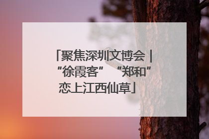 聚焦深圳文博会｜“徐霞客”“郑和”恋上江西仙草