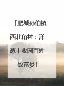 肥城孙伯镇西北角村：洋葱丰收圆百姓致富梦