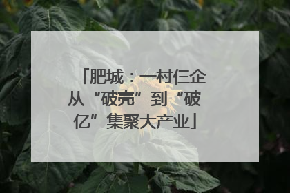 肥城：一村仨企从“破壳”到“破亿”集聚大产业