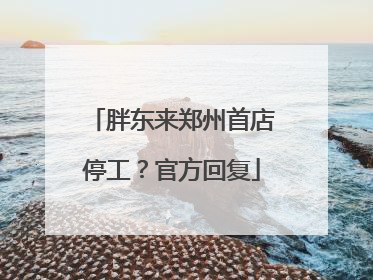 胖东来郑州首店停工？官方回复