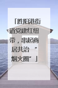 胜阳港街道党建红纽带，串起商居共治 “烟火圈”