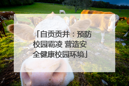 自贡贡井：预防校园霸凌 营造安全健康校园环境
