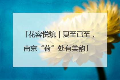 花容悦貌｜夏至已至，南京“荷”处有美韵