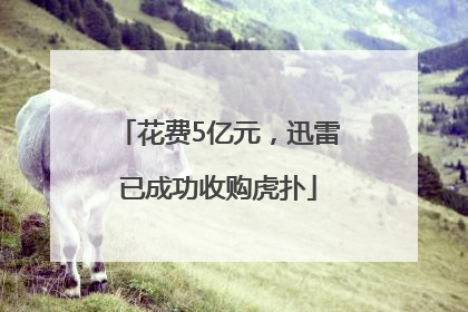 花费5亿元，迅雷已成功收购虎扑
