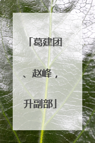 葛建团、赵峰，升副部