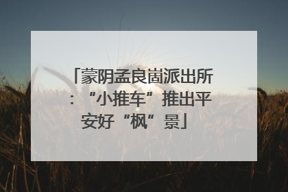蒙阴孟良崮派出所：“小推车”推出平安好“枫”景