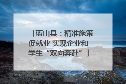 蓝山县：精准施策促就业 实现企业和学生“双向奔赴”