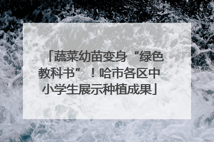 蔬菜幼苗变身“绿色教科书”！哈市各区中小学生展示种植成果