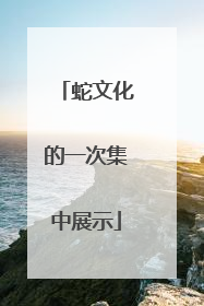 蛇文化的一次集中展示