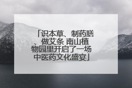 识本草、制药膳、做艾条 南山植物园里开启了一场中医药文化盛宴