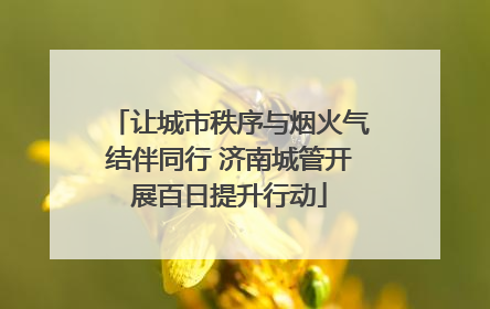 让城市秩序与烟火气结伴同行 济南城管开展百日提升行动