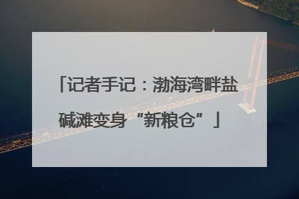 记者手记：渤海湾畔盐碱滩变身“新粮仓”