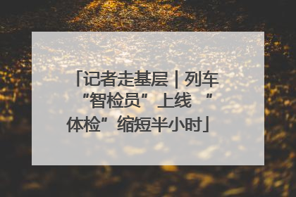 记者走基层｜列车“智检员”上线 “体检”缩短半小时