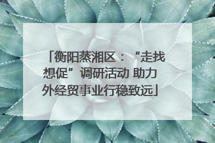衡阳蒸湘区：“走找想促”调研活动 助力外经贸事业行稳致远