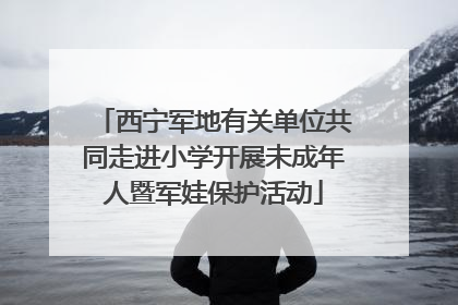 西宁军地有关单位共同走进小学开展未成年人暨军娃保护活动
