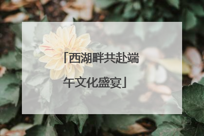 西湖畔共赴端午文化盛宴