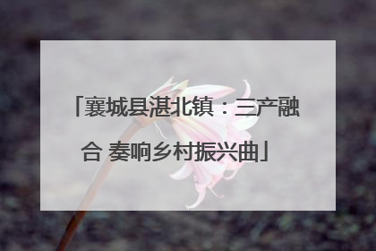 襄城县湛北镇：三产融合 奏响乡村振兴曲