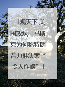 观天下·美国政坛｜马斯克为何称特朗普力推法案“令人作呕”