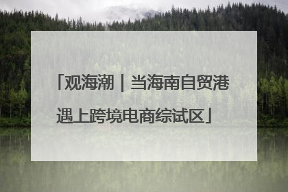 观海潮｜当海南自贸港遇上跨境电商综试区