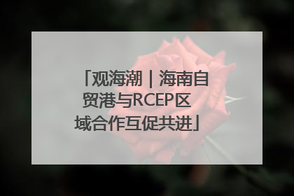 观海潮｜海南自贸港与RCEP区域合作互促共进