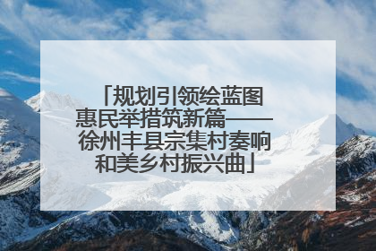 规划引领绘蓝图 惠民举措筑新篇——徐州丰县宗集村奏响和美乡村振兴曲