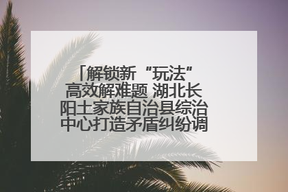 解锁新“玩法” 高效解难题 湖北长阳土家族自治县综治中心打造矛盾纠纷调处“终点站”