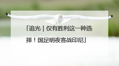 追光｜仅有胜利这一种选择！国足明夜客战印尼