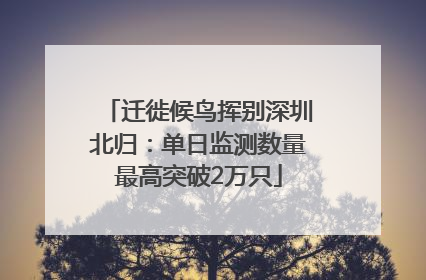 迁徙候鸟挥别深圳北归：单日监测数量最高突破2万只