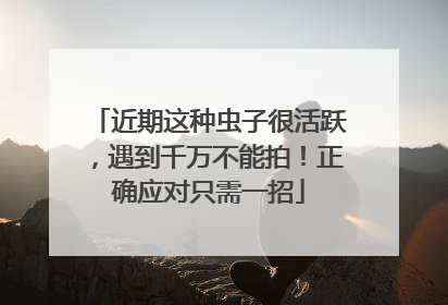 近期这种虫子很活跃，遇到千万不能拍！正确应对只需一招