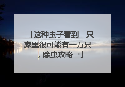 这种虫子看到一只家里很可能有一万只，除虫攻略→