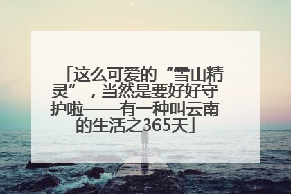 这么可爱的“雪山精灵”，当然是要好好守护啦——有一种叫云南的生活之365天