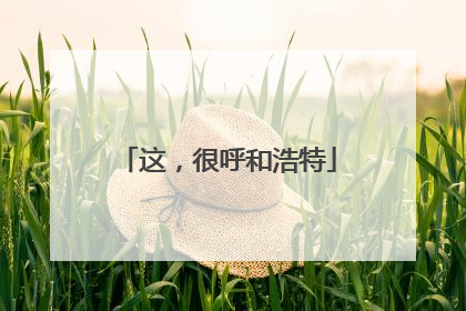 这，很呼和浩特